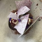 Nightbird Color menu purple