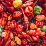 Spicy: Top Preferred Flavors