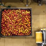 Bitter Sweet Apples @ Angry Orchard