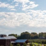 Angry Orchard - Cider House