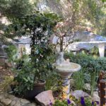 Inn of the Seventh Ray in Topanga Canyon