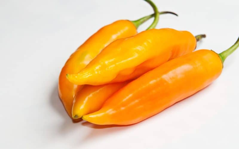 Aji Amarillo